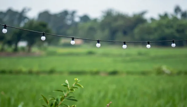 商机发布平台